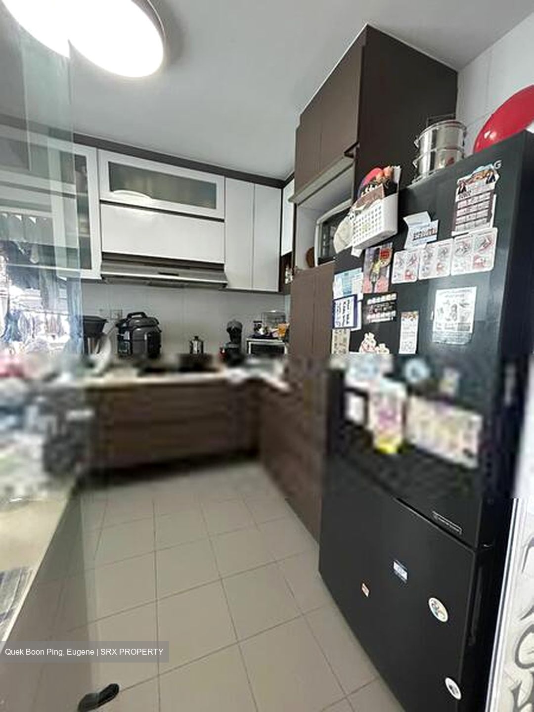 Blk 1B The Pinnacle@Duxton (Bukit Merah), HDB 5 Rooms #489660191